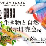 AQUARIUM TOKYO NATURE 2025｜10月18日（土）〜10月19日（日）新宿住友ビルで開催！都会で感じる“自然と癒し”の2日間
